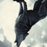 Nahid, 28 years old, Unaizah, Saudi Arabia