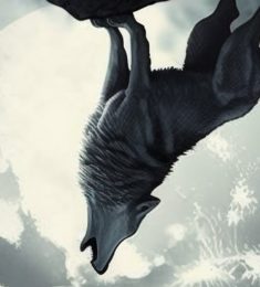 Nahid, 29 years old, Straight, Man, Unaizah, Saudi Arabia