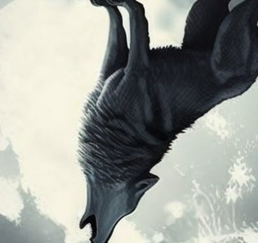 Nahid, 29 years old, Unaizah, Saudi Arabia