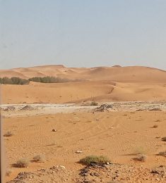 Hassan, 25 years old, Straight, Man, Dir, Pakistan