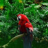 Rahul, 30 years old, Andorra la Vella, Andorra