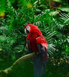 Rahul, 30 years old, Straight, Man, Andorra la Vella, Andorra