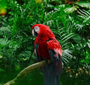 Rahul, 30 years old, Andorra la Vella, Andorra