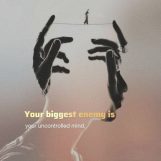 Mohammad amjad, 22 years old, Ar Rass, Saudi Arabia