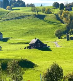 Jaan, 31 years old, Lesbian / Gay, Man, Charsadda, Pakistan