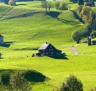 Jaan, 31 years old, Charsadda, Pakistan
