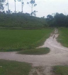 Jowshim, 21 years old, Straight, Man, Ain Taya, Algeria