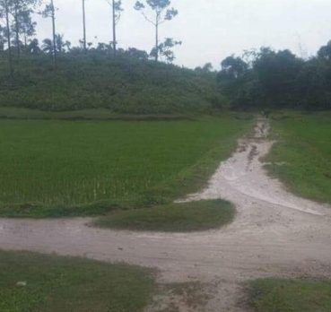 Jowshim, 21 years old, Ain Taya, Algeria